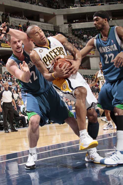 宁波男篮的 宁波男篮的